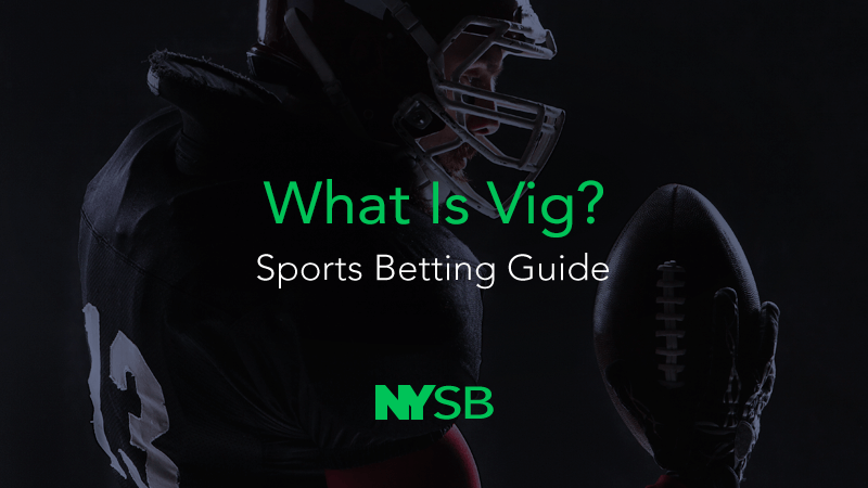 What is Vig?